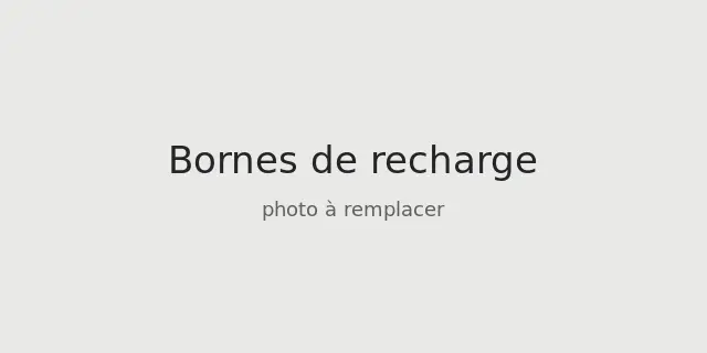 Bornes de recharge IRVE distribuées par feedenergy